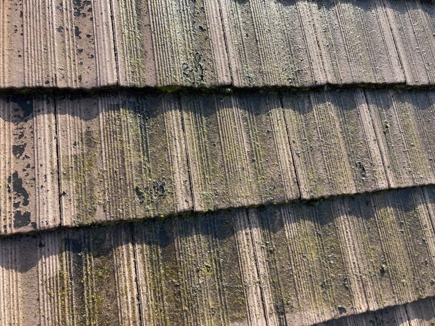 三鷹市　苔がたくさん着いて汚れている屋根