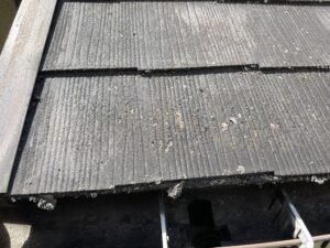 杉並区　施工前の苔や藻がついた屋根